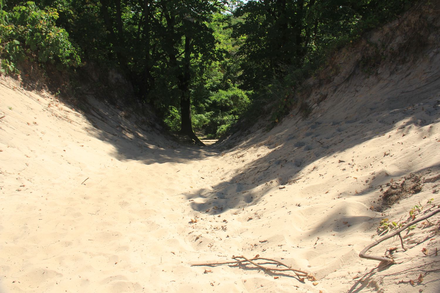 3 Dune Challenge Hike 